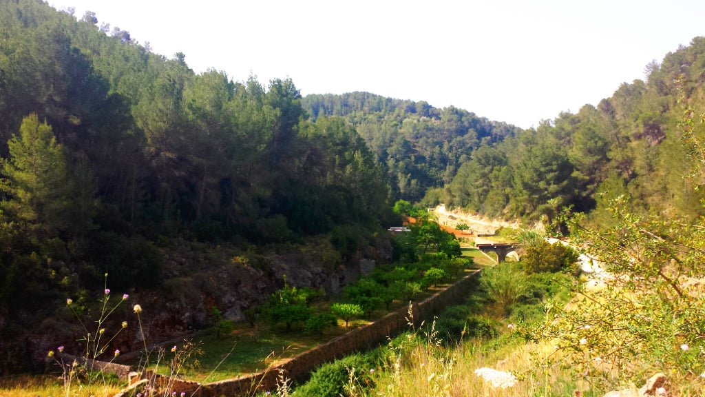 Ibiza al Oud 6ML