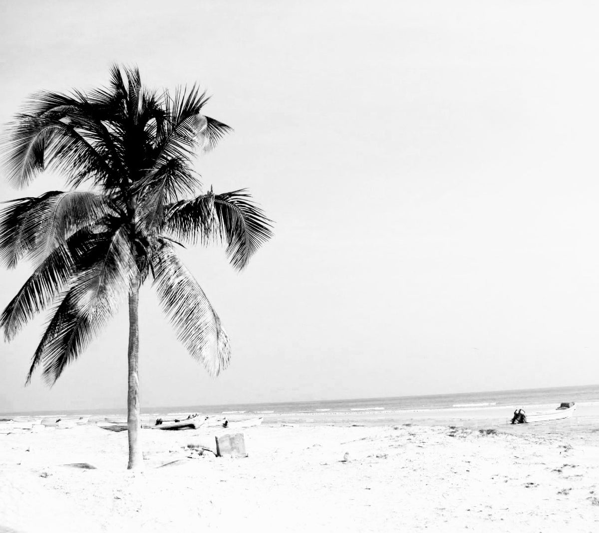 Salalah 15ML